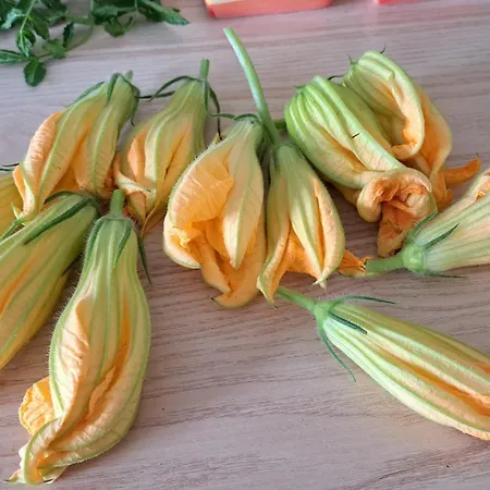 Alba Affittacamere Mandra Capreria